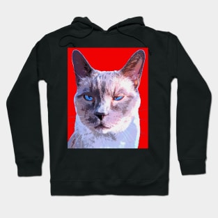 siamese cat Hoodie